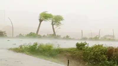 আবহাওয়া দপ্তরের পূর্বাভাস: দেশের বিভিন্ন অঞ্চলে বৃষ্টিপাতের সম্ভাবনা