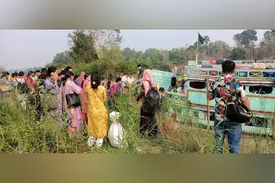 কাপ্তাই লেকে গাছের ধাক্কায় লঞ্চ ছিদ্র, ২০০ যাত্রী রক্ষা