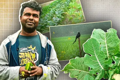 প্রথম আলোর ভিডিও বিভাগে বাংলাদেশ সম্পর্কিত নতুন প্রতিবেদন প্রকাশিত