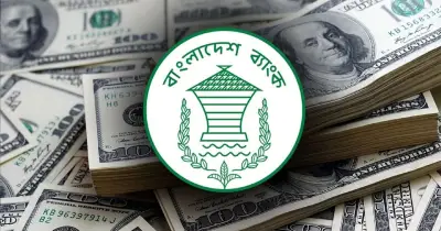 বিদেশি ঋণের পরিমাণ বেড়ে দাঁড়িয়েছে ১১৩.৫২ বিলিয়ন ডলার, বাংলাদেশ ব্যাংকের তথ্য