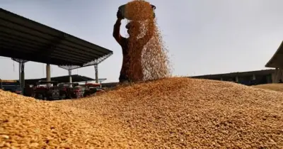 যুক্তরাষ্ট্র থেকে ৬২ হাজার টন গমের দ্বিতীয় চালান চট্টগ্রাম বন্দরে