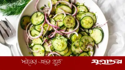 গরমে শসা দিয়ে তৈরি করুন মজাদার ও স্বাস্থ্যকর সালাদের ৫টি সহজ রেসিপি