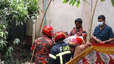 সেফটিক ট্যাংক থেকে বৃদ্ধার মরদেহ উদ্ধার, ঝড়ে বিদ্যুতের লাইন ছিড়ে নারীর মৃত্যু