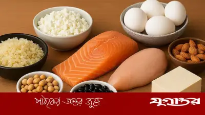 ৪০-এর পর সুস্থ থাকতে প্রোটিনের গুরুত্ব: কেন এটি অপরিহার্য