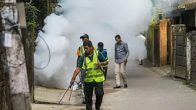 চট্টগ্রামে মশার উৎপাত: সিটি করপোরেশনের ওষুধ ছিটানো সত্ত্বেও বাড়ছে যন্ত্রণা