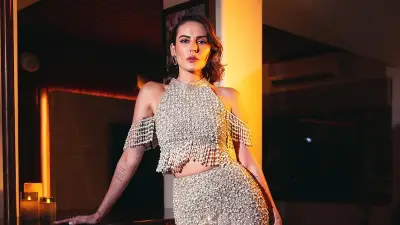 অভিনয় ছেড়ে ইন্টেরিয়র ডিজাইনিং বেছে নিলেন বলিউড অভিনেত্রী মান্দানা করিমি