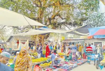 শতবর্ষী বিল্বগ্রাম হাট: অশ্বত্থগাছের ছায়ায় গ্রামীণ অর্থনীতি ও সম্প্রীতির মেলবন্ধন