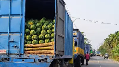 ভোলার ইলিশা ফেরিঘাটে তরমুজবাহী ট্রাক আটকে, পচন ও লোকসানের মুখে কৃষক-ব্যবসায়ী