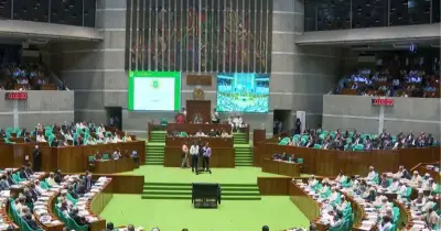 অন্তর্বর্তী সরকারের ১৩৩ অধ্যাদেশ যাচাই শেষ, ২ এপ্রিল সংসদে উত্থাপন