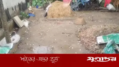 দেশের সব বিভাগে বৃষ্টির আভাস, কোথাও কোথাও শিলাবৃষ্টির সম্ভাবনা