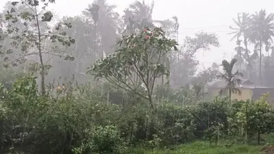 বিশ্বজুড়ে হামের ভয়াবহ সংক্রমণ বৃদ্ধি, নেপথ্যে প্রধান কারণসমূহ বিশ্লেষণ
