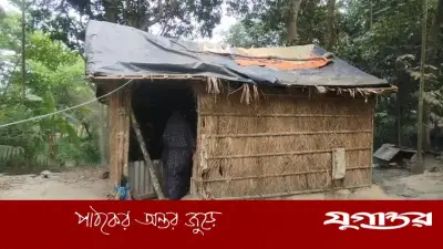 লক্ষ্মীপুরে নাছিমার পরিবার: পলিথিনের ঘরে মানবেতর জীবন, স্বামীর চিকিৎসা নেই