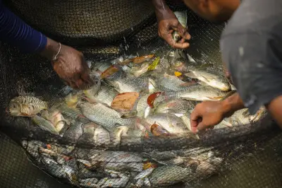 বাংলাদেশে অনলাইন শিক্ষার নতুন সম্ভাবনা: প্রযুক্তির মাধ্যমে শিক্ষার প্রসার