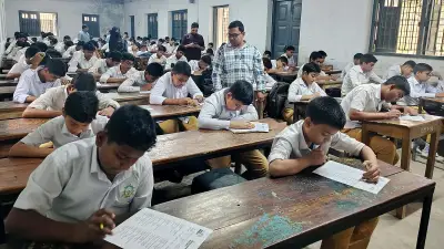 চাঁপাইনবাবগঞ্জে মুক্তিযুদ্ধ অলিম্পিয়াডে উঠে এলো বীরত্বগাথা, শিক্ষার্থীদের মাঝে ইতিহাস চর্চা