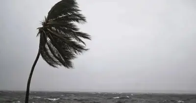 আবহাওয়া অধিদপ্তরের সতর্কতা: ৭ অঞ্চলে ৬০ কিমি বেগে ঝোড়ো হাওয়া, বজ্রসহ বৃষ্টির পূর্বাভাস