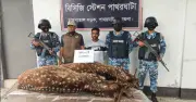 বরগুনায় হরিণ শিকারি আটক, এক বছর কারাদণ্ড ও জরিমানা