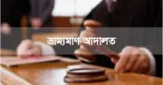 লালমনিরহাটে অবৈধ সার পরিবহনে দুই চালকের ১৫ দিন কারাদণ্ড, মালিকদের রেহাই