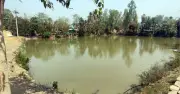 নওগাঁয় প্রভাবশালীদের অবৈধ দখলে সরকারি পুকুর, কোটি টাকা রাজস্ব বঞ্চিত সরকার