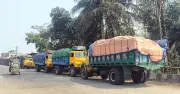 ভোলা থেকে সার পাচার: ফেরি থেকে ৭১ টন টিএসপি সারসহ চার ট্রাক জব্দ, আটক ১