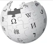 উইকিপিডিয়ার যাত্রা: কীভাবে একটি ব্যক্তিগত অভিজ্ঞতা বিশ্বের বৃহত্তম বিশ্বকোষে পরিণত হলো