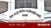 মোহাম্মদপুরে বিড়াল হত্যার দায়ে আকবর হোসেনের ছয় মাস কারাদণ্ড ও জরিমানা