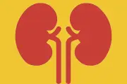 কিডনি রোগের বিস্তার উদ্বেগজনক: প্রতি সাতজনে একজন আক্রান্ত, সচেতনতাই প্রধান সমাধান