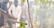 রাজশাহীতে মশা নিধনে ১৫ দিনের বিশেষ অভিযান শুরু