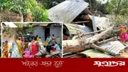 কালবৈশাখী ঝড়ে গাছচাপায় কুমিল্লায় নারীর মৃত্যু, ঘটনাস্থলে লাশ উদ্ধার