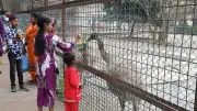 ঈদে জাতীয় চিড়িয়াখানায় শিশুদের উচ্ছ্বাস, দর্শনার্থীদের ভিড়ে মুখর পরিবেশ