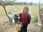 হাওরে পানির কষ্ট: রমিলা বেগমের দিনে তিন বেলা পানি আনতে হয়, নলকূপে পানি উঠছে না