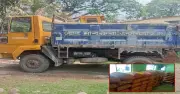 সিলেটের গোয়াইনঘাটে বালুভর্তি ট্রাক থেকে ৭৬ বস্তা ভারতীয় জিরা উদ্ধার, ট্রাকচালক আটক
