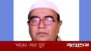 কুষ্টিয়ায় বিএনপি নেতা রুমীর বিতর্কিত বক্তব্য: 'আগের ডিসিকে বদলি করেছি, কারণ গভর্নমেন্ট আমাদের'