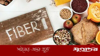সর্বোচ্চ ফাইবার পাওয়া যায় কোন খাবারে? চিয়াবীজ, তিসিবীজ ও পেয়ারার গুণাগুণ