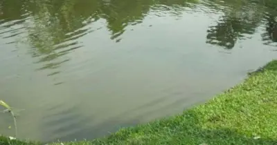 নান্দাইলে পুকুরে ডুবে দুই শিশুর মর্মান্তিক মৃত্যু, এলাকাজুড়ে শোক