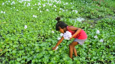 বন্ডুশাভা ফটো প্ল্যাটফর্মে নতুন আপডেট: ব্যবহারকারীদের জন্য আরও সুবিধা
