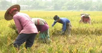 বাংলাদেশ পানি উন্নয়ন বোর্ডের সতর্কতা: সুনামগঞ্জে ফ্ল্যাশ ফ্লাডের আশঙ্কা