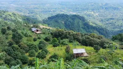 বান্দরবানে ৬ রাবার শ্রমিক অপহরণ, ২০ লাখ মুক্তিপণ দাবি; সৌদিতে হজে আরেক বাংলাদেশির মৃত্যু