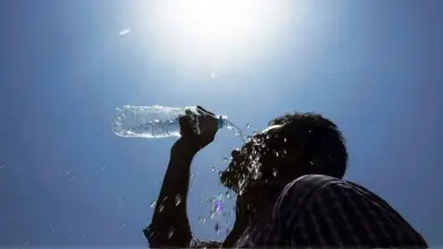 গরমে শরীরের সংকেত: কী কী অবহেলা করবেন না