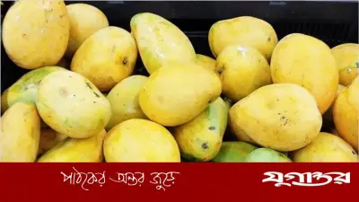 ডায়াবেটিস থাকলেও আম খাওয়া যায়, জেনে নিন সঠিক নিয়ম