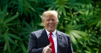 মার্কিন মাদকনীতিতে বড় পরিবর্তন, গাঁজা এখন কম বিপজ্জনক ড্রাগ