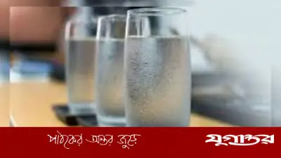 গরমে ঠান্ডা পানি: ক্ষতি না উপকার? জেনে নিন সঠিক নিয়ম