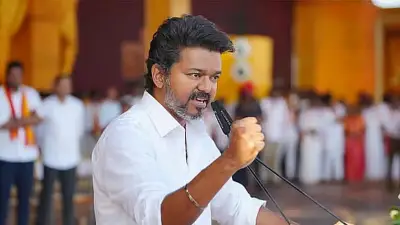 থালাপতি বিজয়ের রাজনৈতিক লড়াই: চলচ্চিত্র থেকে তামিলনাড়ুর ক্ষমতার মঞ্চে