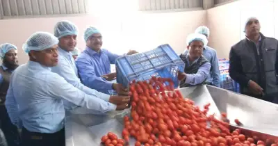 কৃষি প্রক্রিয়াকরণে রাজশাহী অঞ্চলের সম্ভাবনা