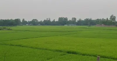 টাঙ্গাইলে তীব্র লোডশেডিংয়ে জনজীবন বিপর্যস্ত