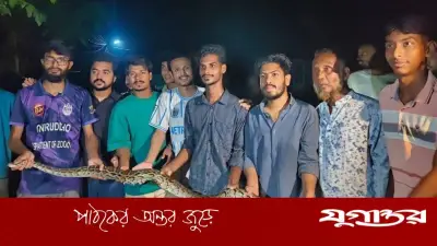 চট্টগ্রাম বিশ্ববিদ্যালয়ে ৮ ফুট দীর্ঘ অজগর উদ্ধার