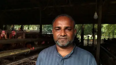 জ্বালানি সঙ্কটে পোলট্রি খামারিরা হিমশিম, ডিম উৎপাদন কমে যাচ্ছে