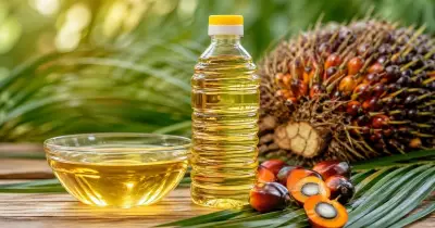 টিসিবির জন্য যুক্তরাষ্ট্র থেকে বিপুল পরিমাণ পাম অলিন কিনছে সরকার