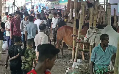 চট্টগ্রামের সাগরিকা পশুর হাটের ইজারা নিয়ে অনিশ্চয়তা কাটল