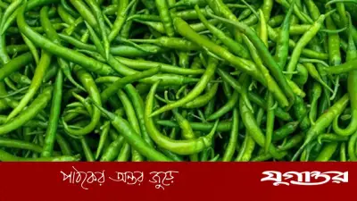 ভারত থেকে ২৮ টাকায় মরিচ আমদানি, দেশে বিক্রি ৩০০ টাকা