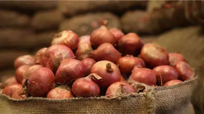 নওগাঁয় শ্রমিক দ্বন্দ্বে বাস-সিএনজি বন্ধ, হিলিতে পেঁয়াজের দাম কমেছে